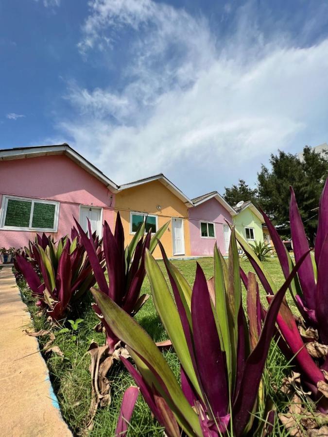 Tahiti Hotel Cotonou Exteriör bild