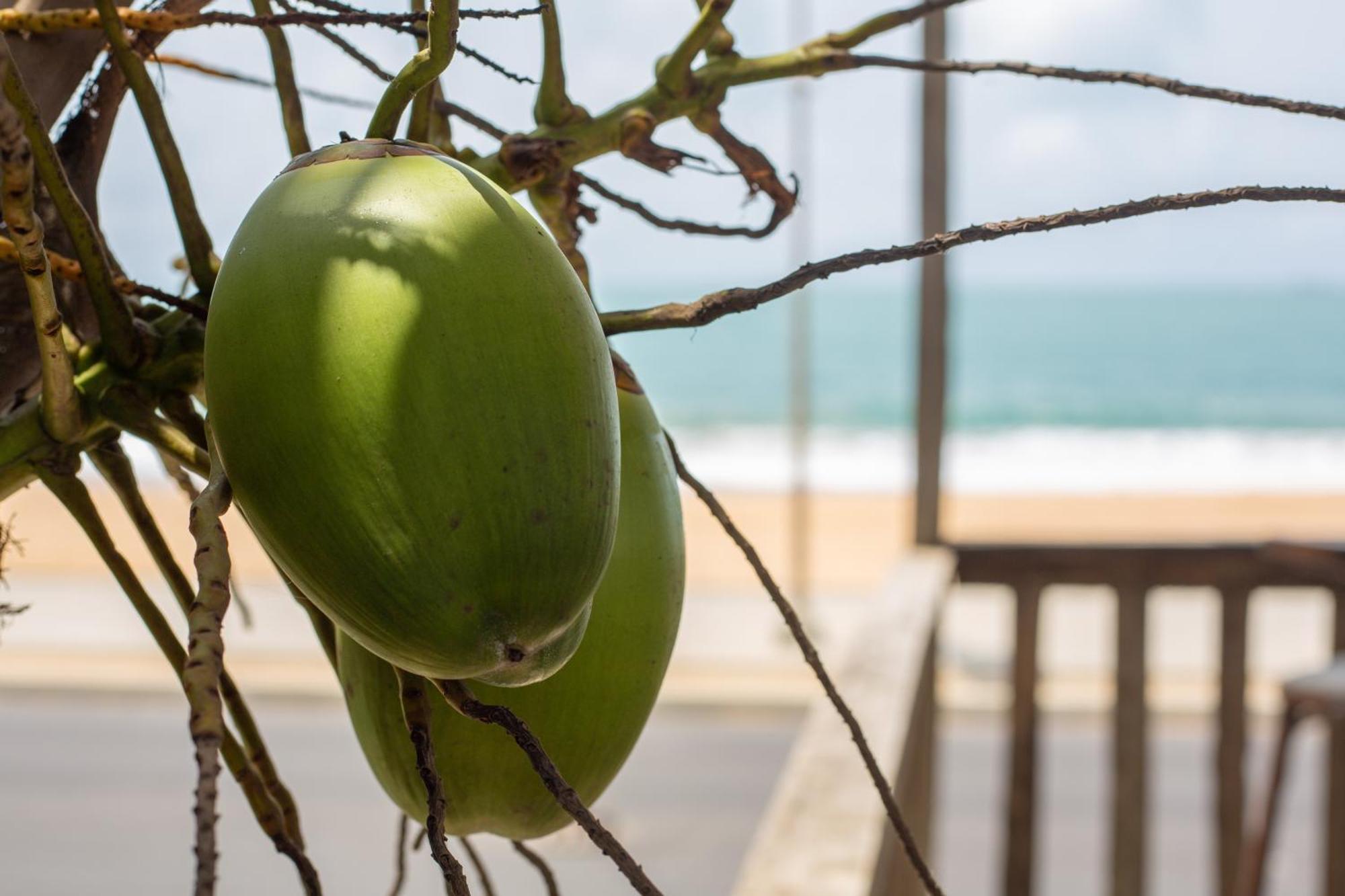 Tahiti Hotel Cotonou Exteriör bild
